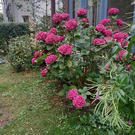 Villa-waldesruh-we-2 Appartement